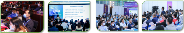 QQ截图20220407104737